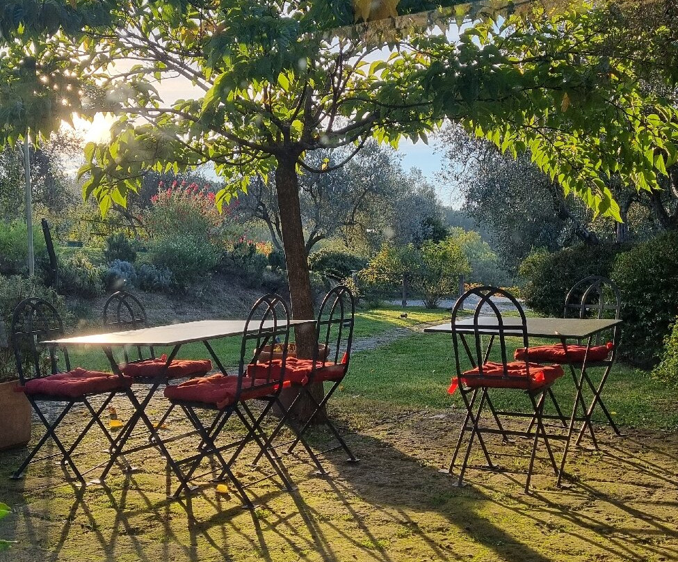 Castello Di Fonterutoli Wine Resort主图