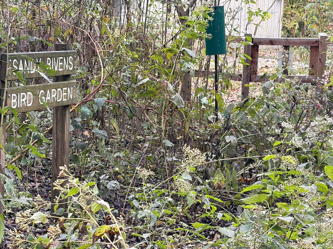 Edwin and Percy Warner Parks-纳什维尔必去景点