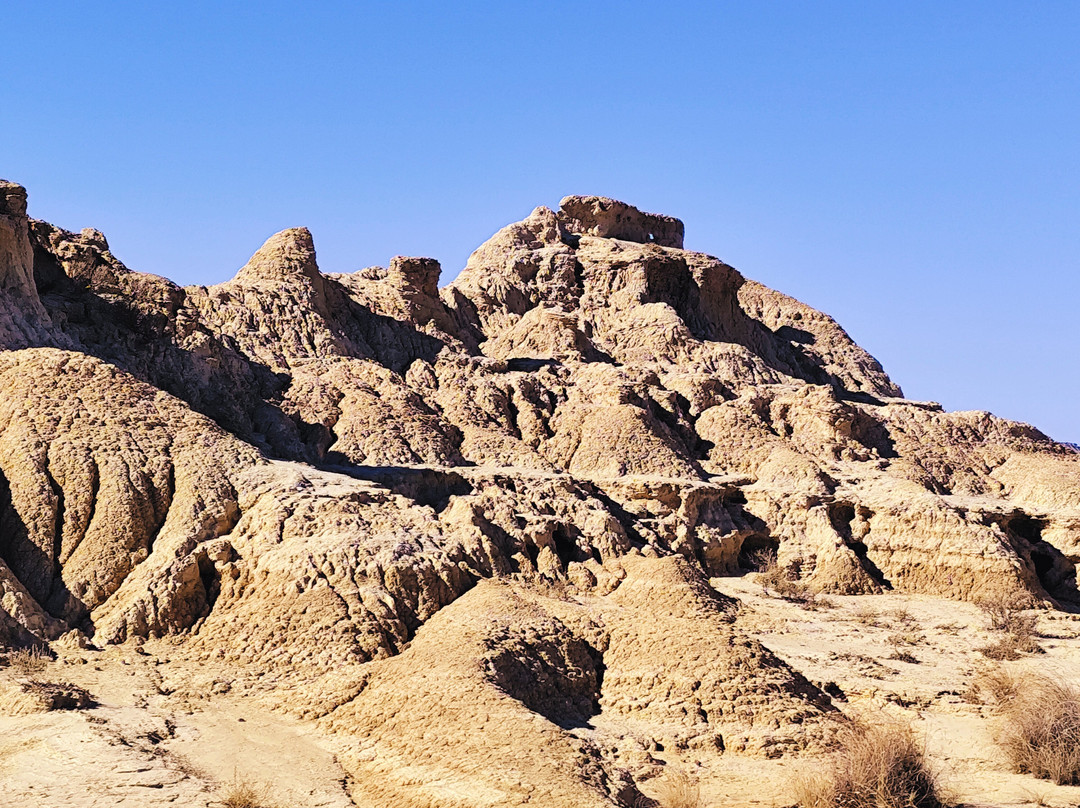 Bardenas Tour-Arguedas必去景点