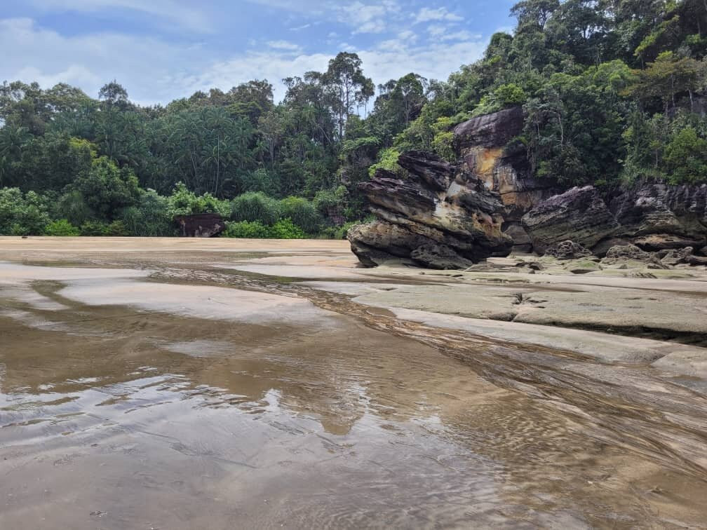 Bako National Park-古晋必去景点