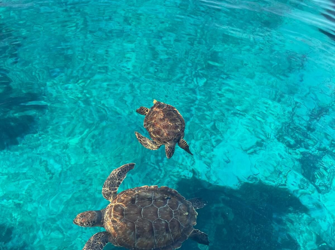 Fishing Mate Cyprus-帕拉林尼必去景点