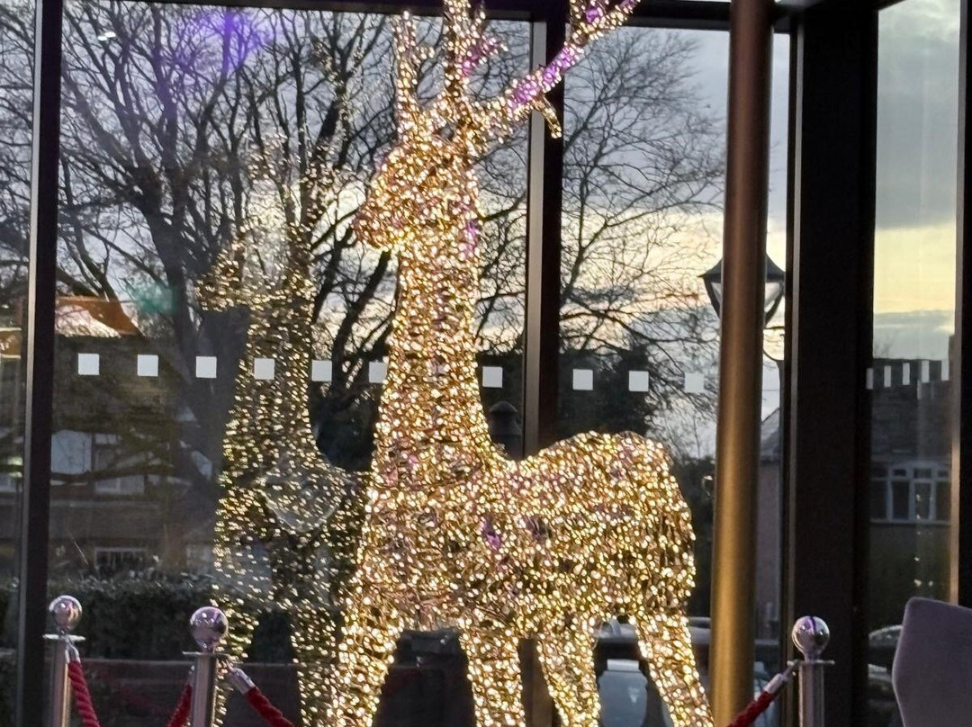 Barton Manor Hotel & Spa主图