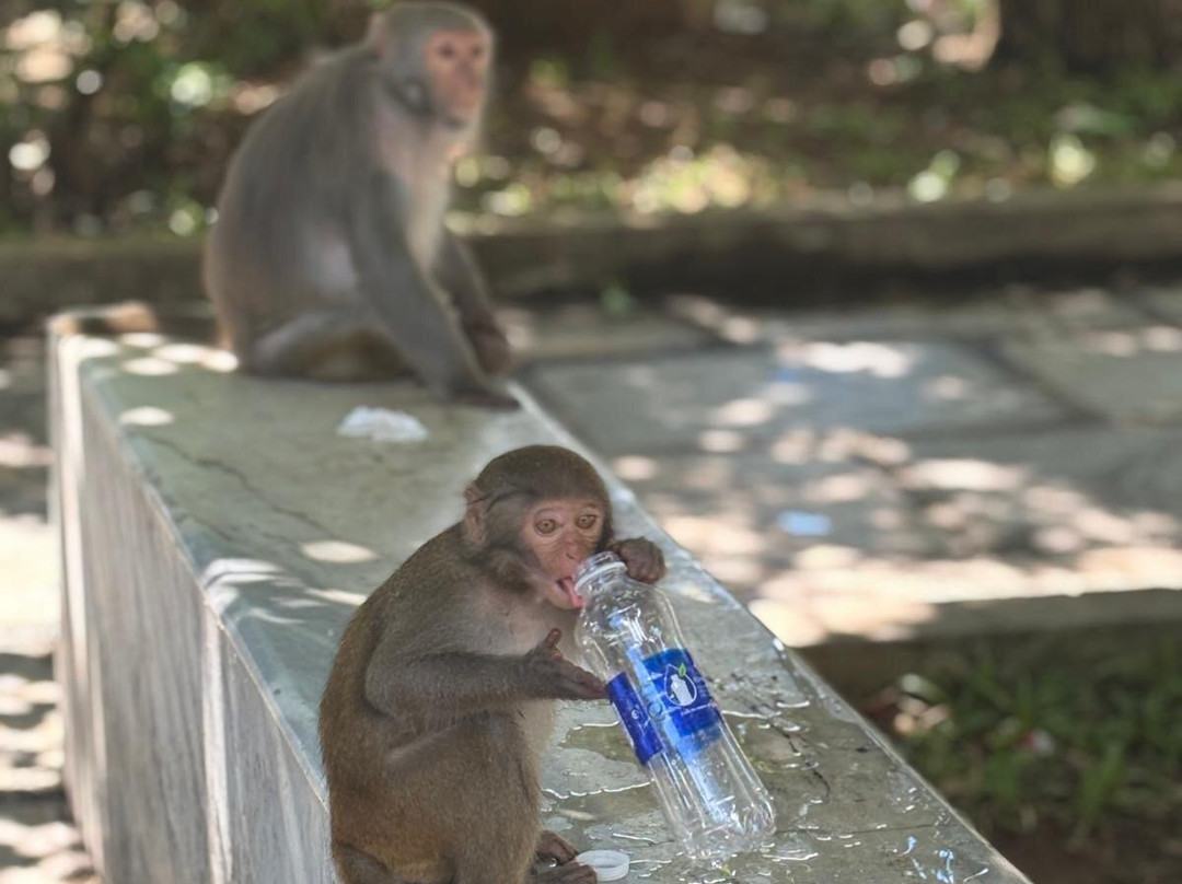 Vietnam Eco-Tours-岘港必去景点