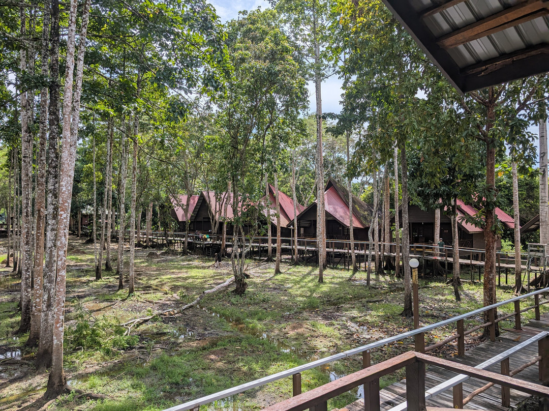 比利特雨林旅舍主图