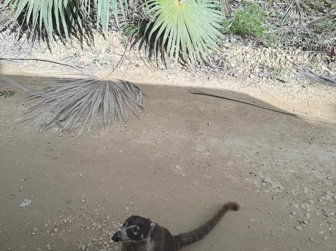 Santi Tour-普拉亚德尔卡曼必去景点