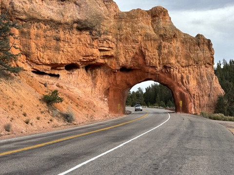 Tyler Inn at Zion主图