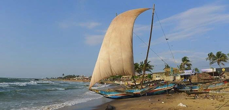 Ceylon Trailblazer Tours-尼甘布必去景点