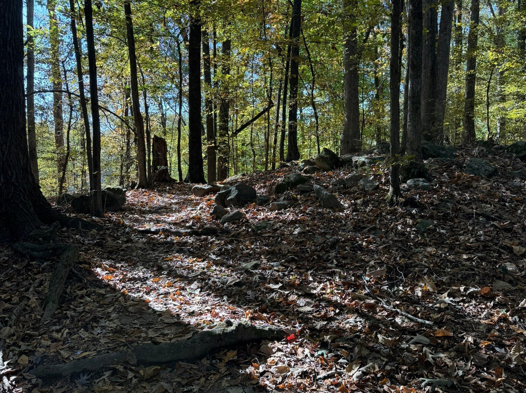 Sandy Creek Nature Center-阿森斯必去景点