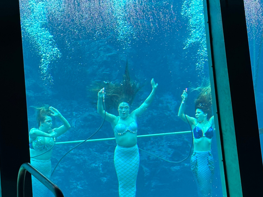 Weeki Wachee Springs-Weeki Wachee必去景点