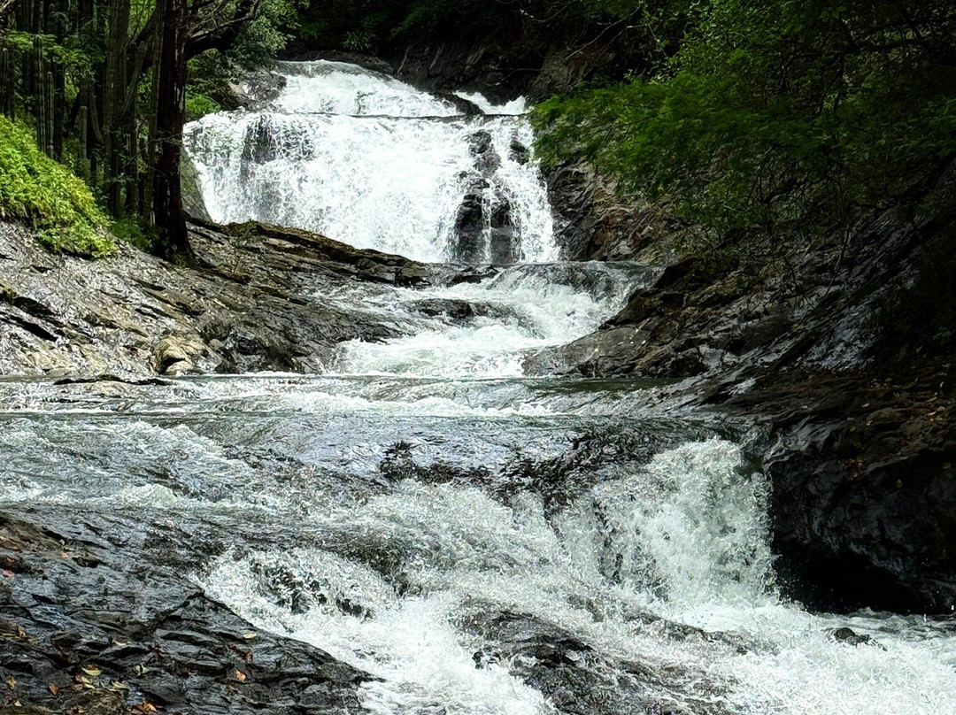 Pargos Adventures Day Tours-Playa Negra必去景点