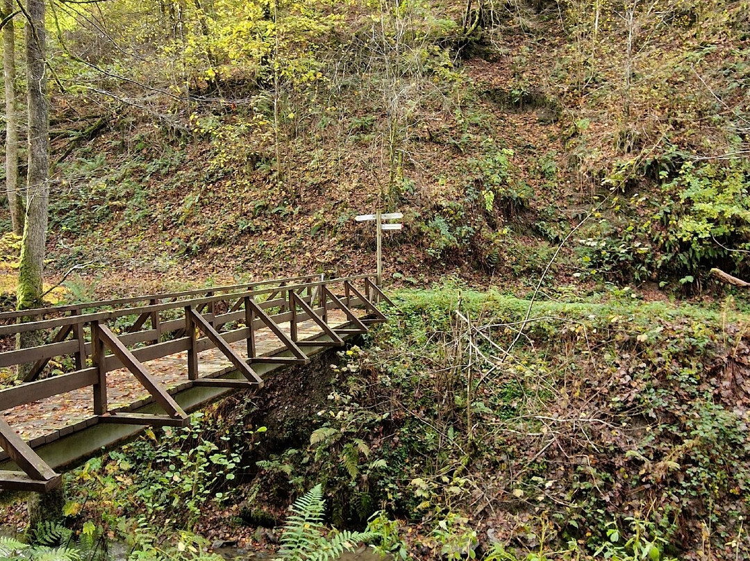 Moselromantik-Hotel Weissmuhle主图