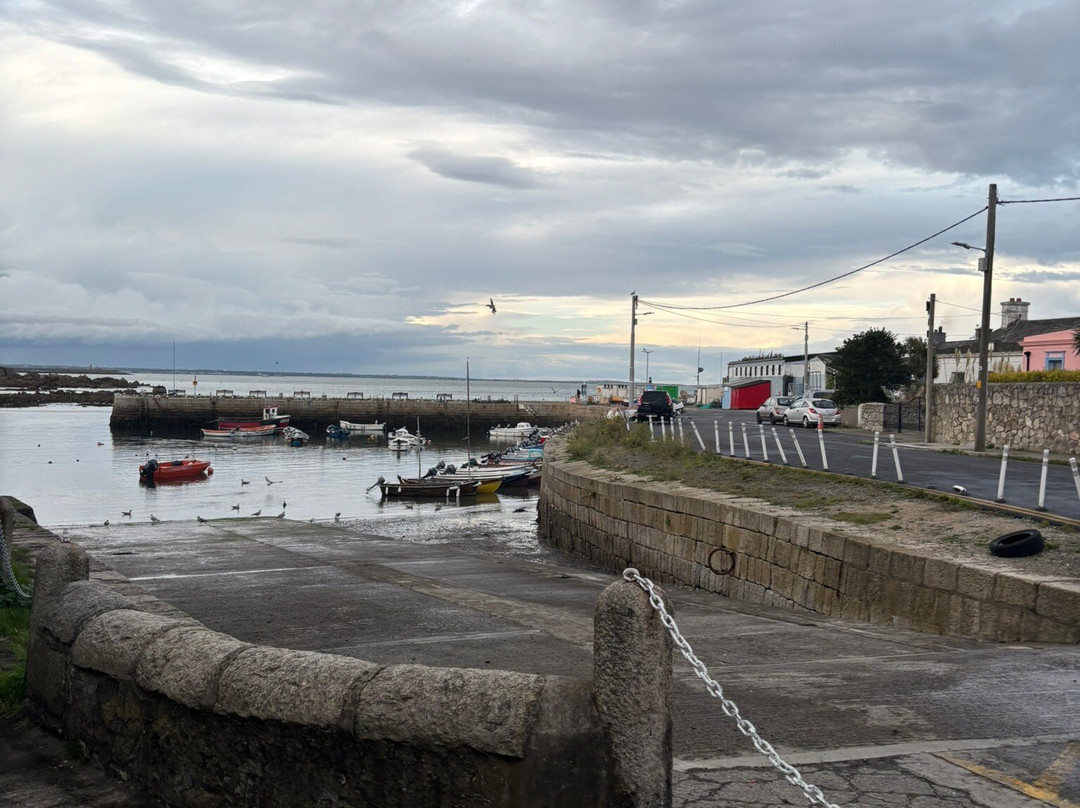 Bulloch Harbour-达尔基必去景点