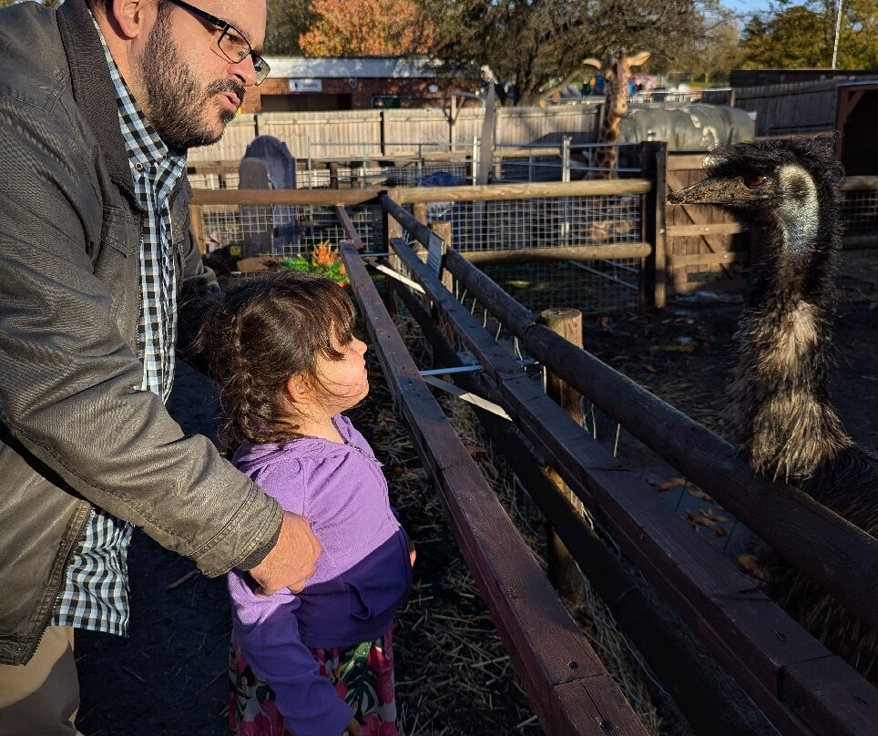 Promenade Park Petting Zoo-Maldon必去景点