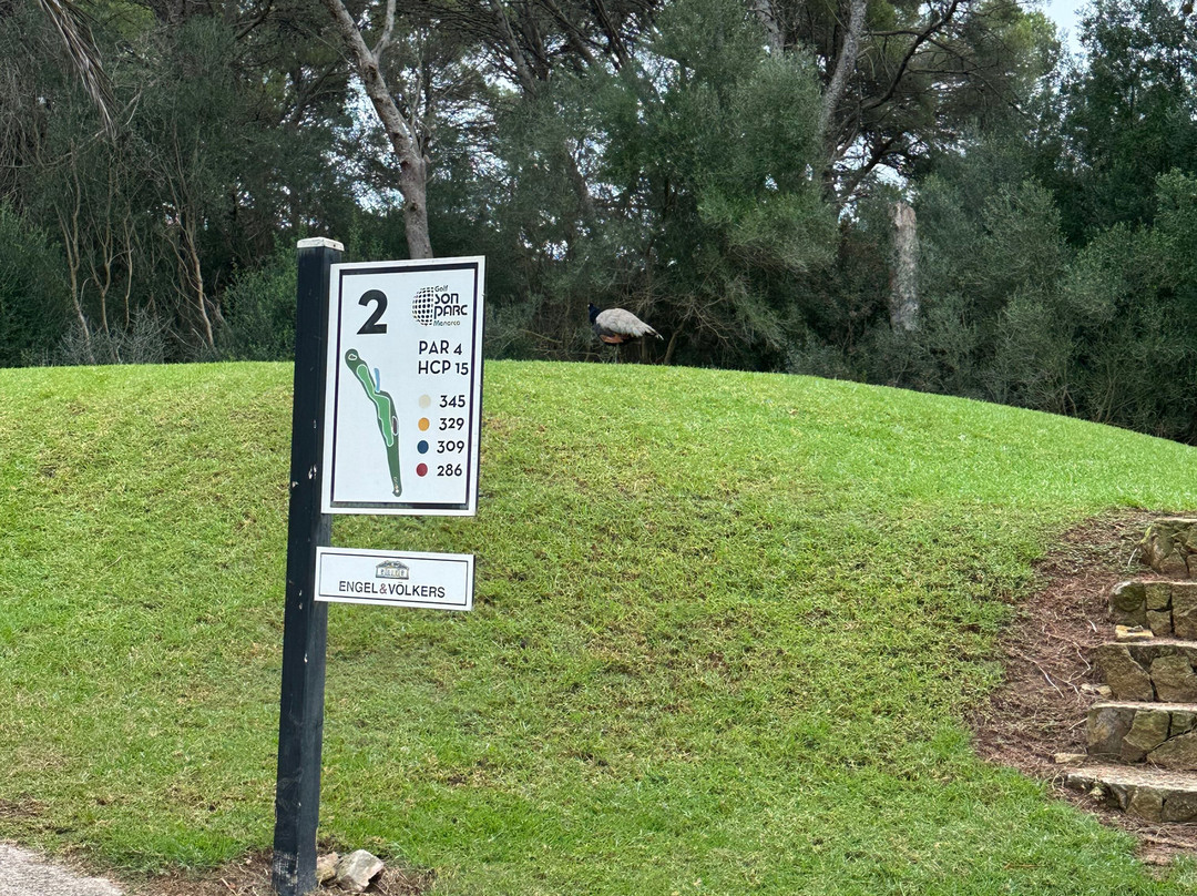 Golf Son Parc Menorca-Son Parc必去景点