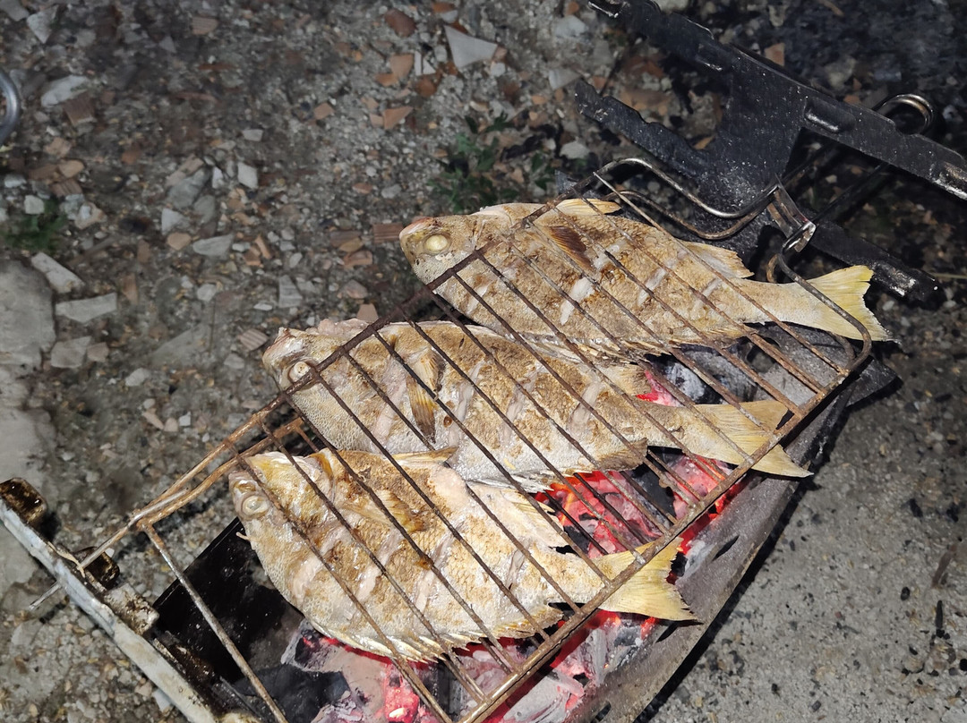 Ilha de Algodoal-Algodoal必去景点