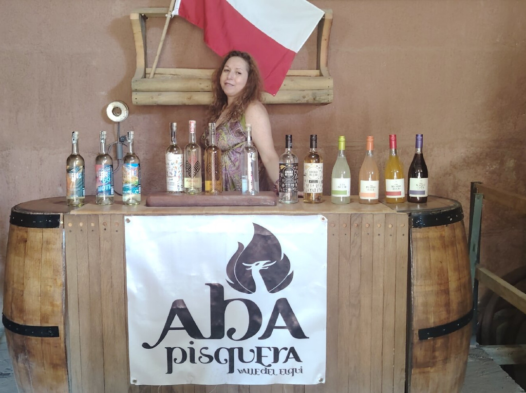 Pisquera Aba Oficial-Vicuna必去景点