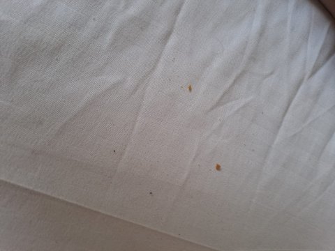 外交家酒店-官方