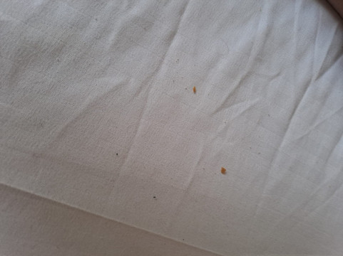 外交家酒店主图