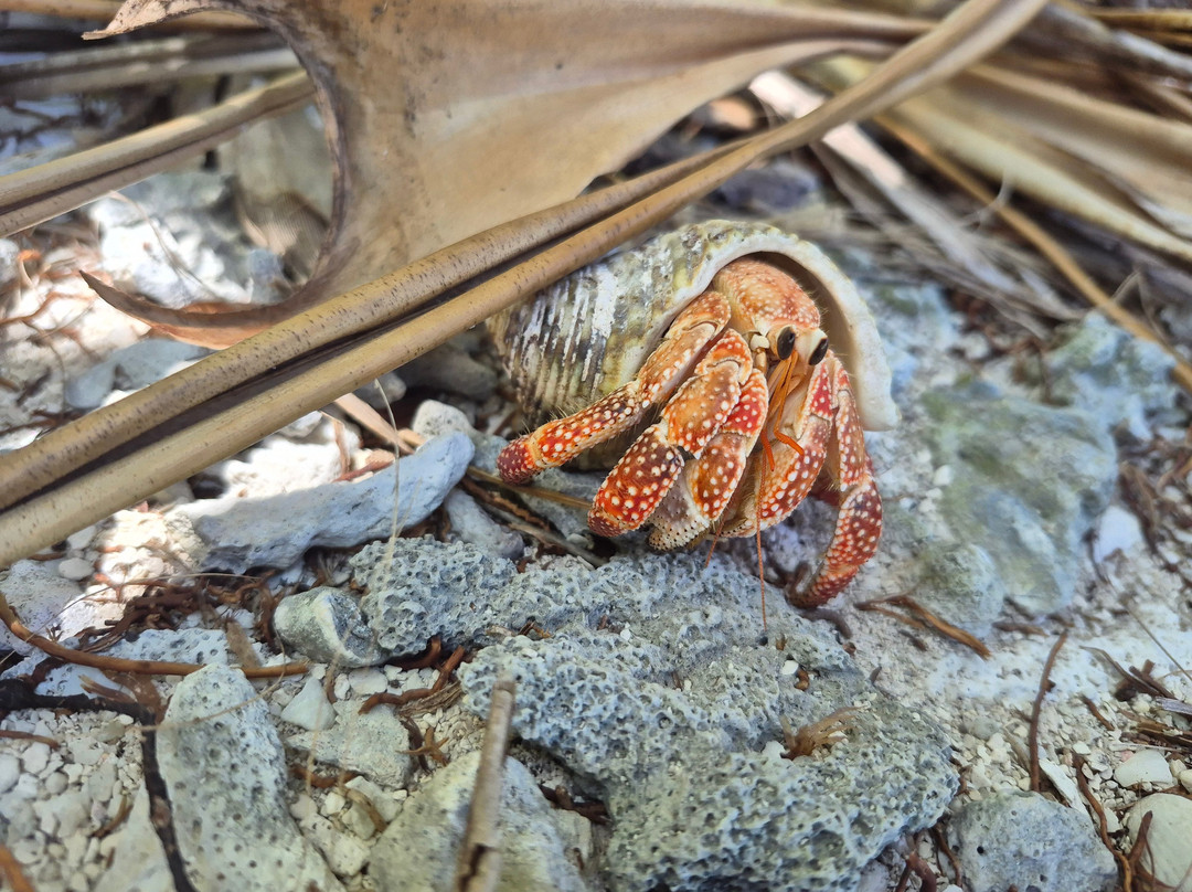 Sailing Aitutaki-艾图塔基必去景点