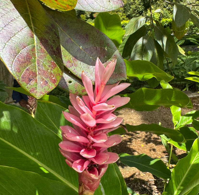 Rhumerie de Saint Aubin-Saint Aubin必去景点