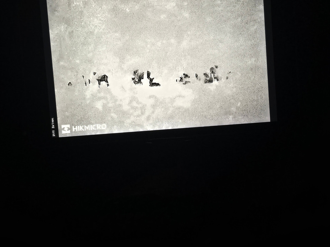 Wildpraat Veluwe-Beekbergen必去景点