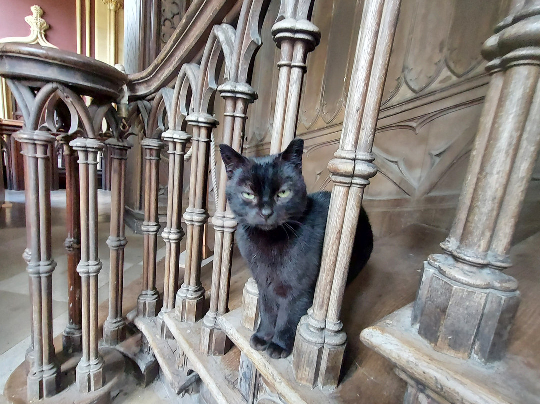 Charleville Castle-Tullamore必去景点