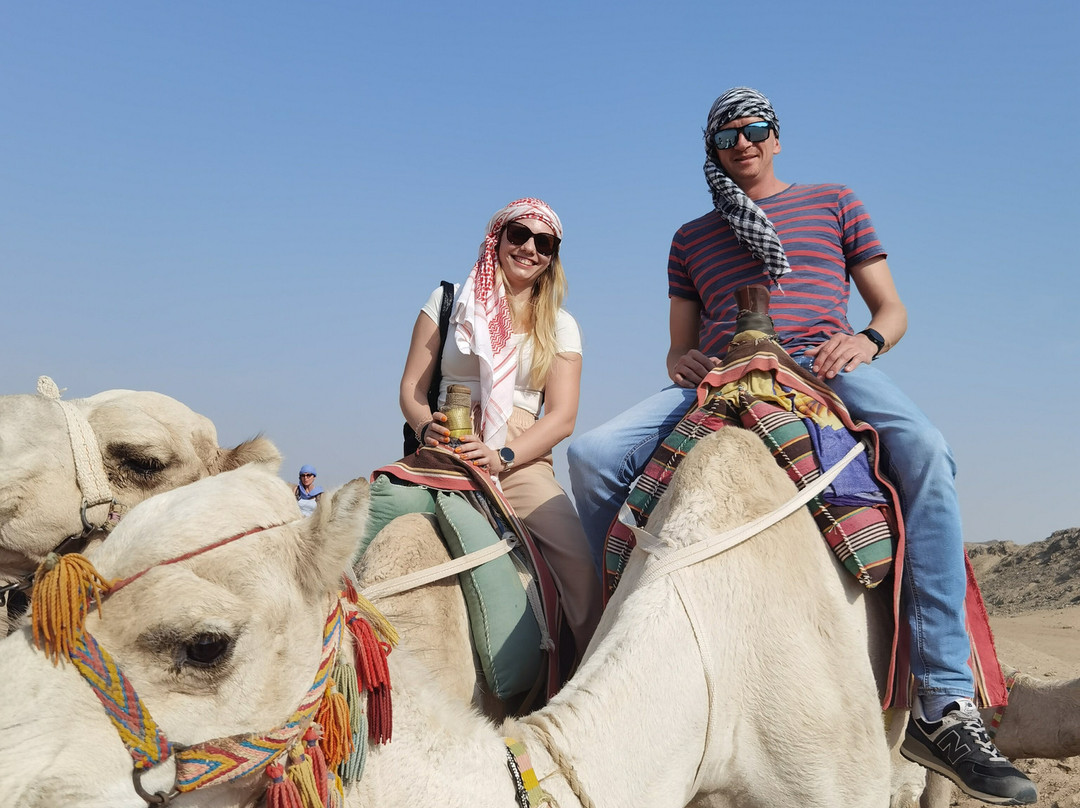 Scorpion Safari-赫尔格达必去景点