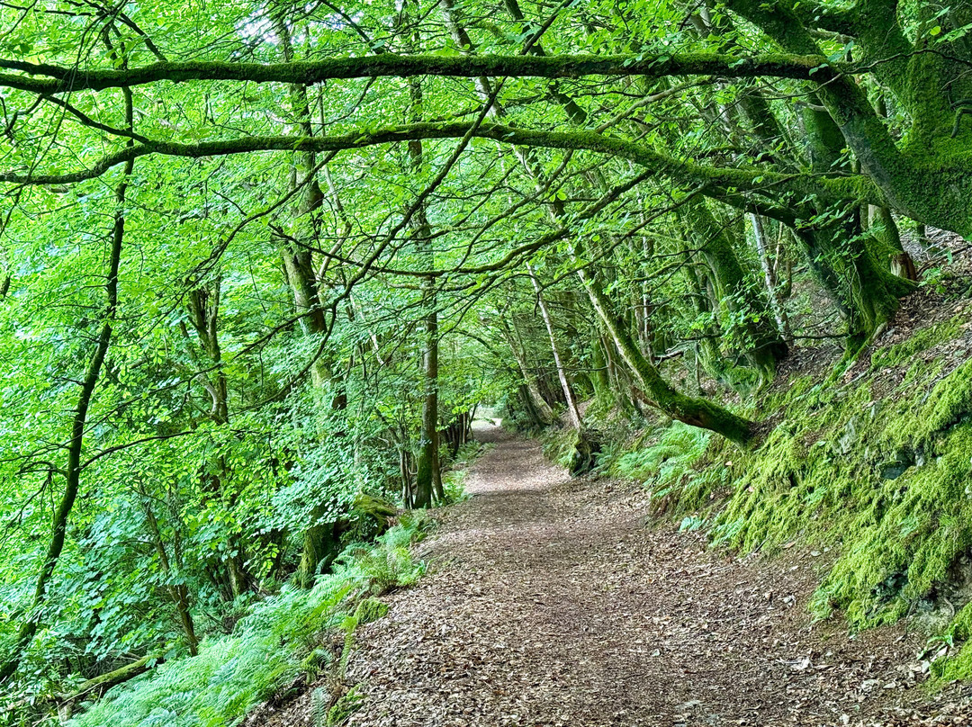 Hollerday Hill-林顿必去景点