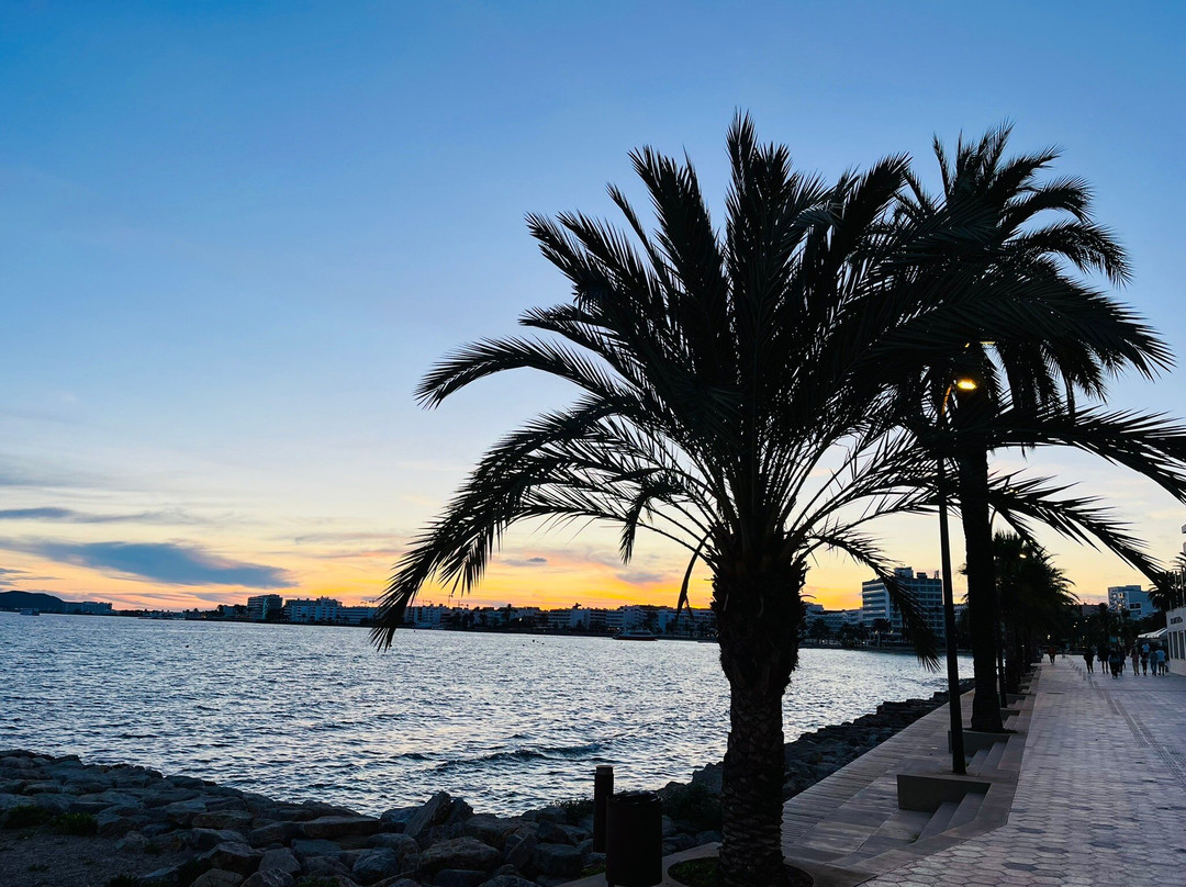 Apartamentos Vibra Panoramic主图