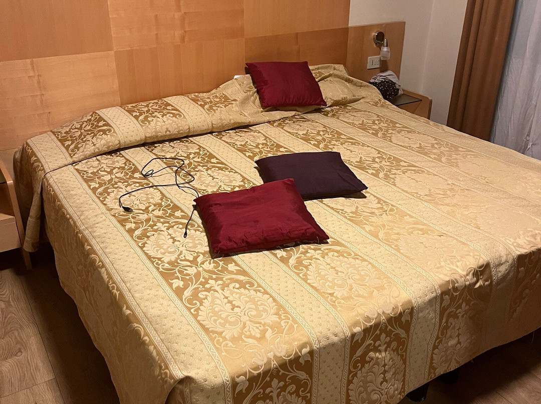 Laerte Palace Hotel主图