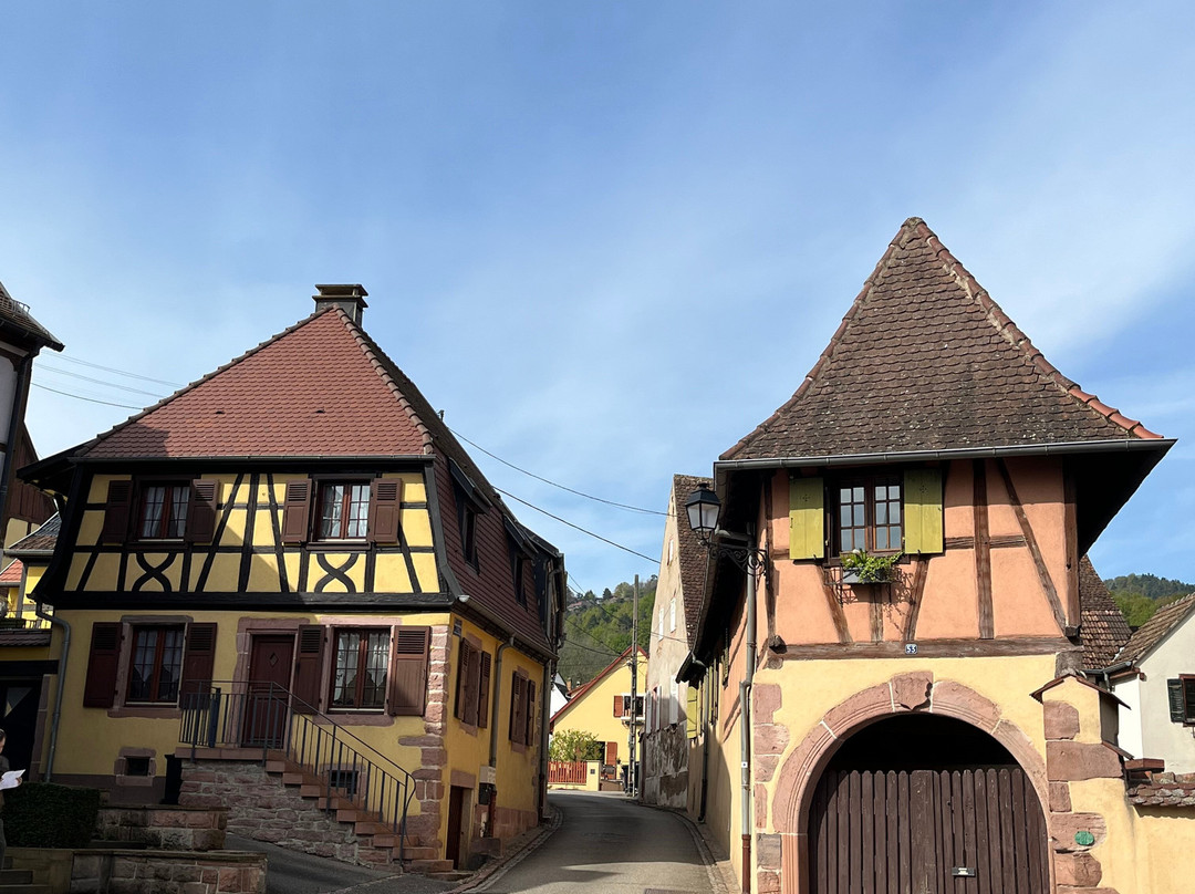 Niedermorschwihr Old Town-下莫施威尔必去景点