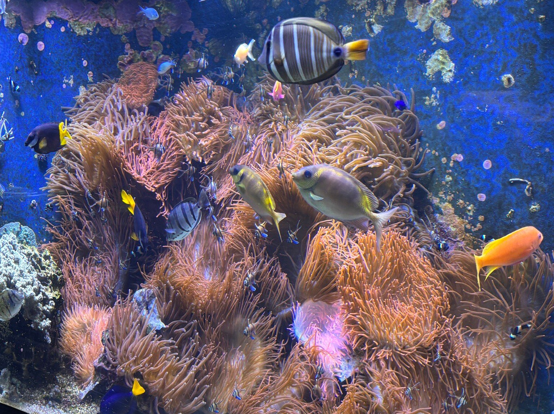 Aquazoo Loebbecke Museum-杜塞尔多夫必去景点