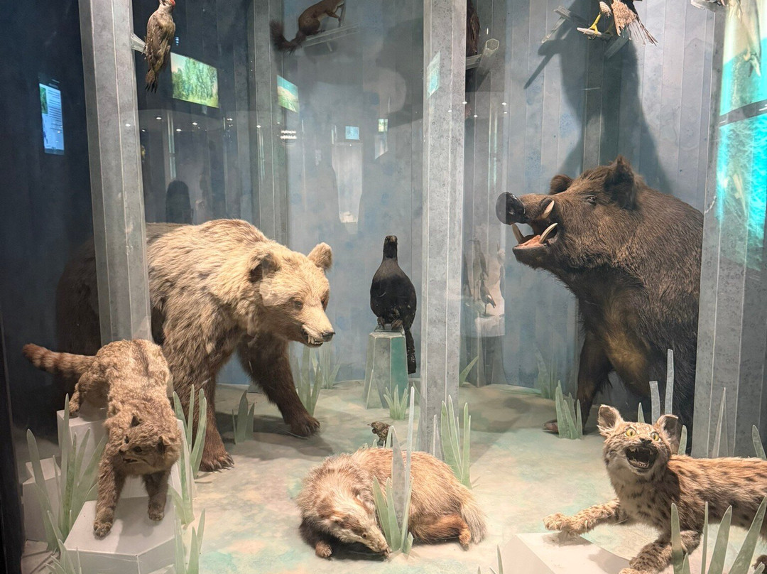 Natural History Museum-里耶卡必去景点