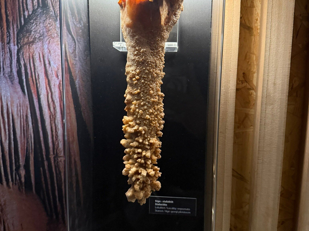 Natural History Museum-里耶卡必去景点