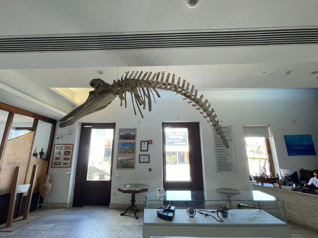 Thalassa Municipal Museum-阿依纳帕必去景点