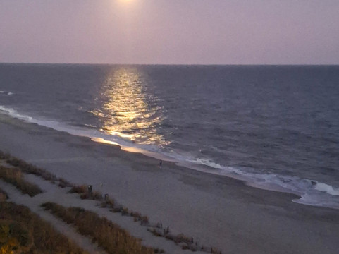 摄政塔酒店主图