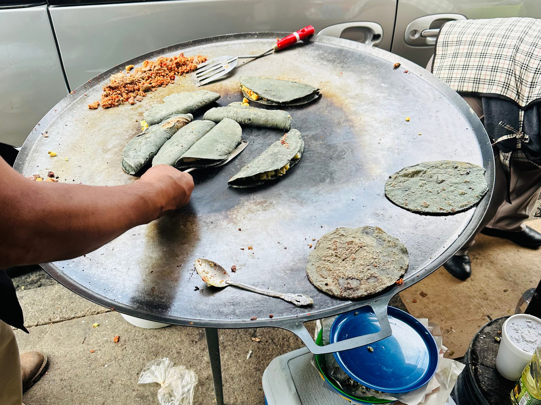 Mercado de Jamaica-墨西哥城必去景点