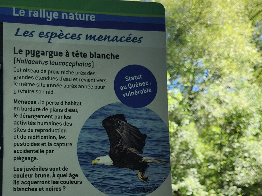 Le Parc Des Hauts-Fonds-St Augustin de Desmaures必去景点