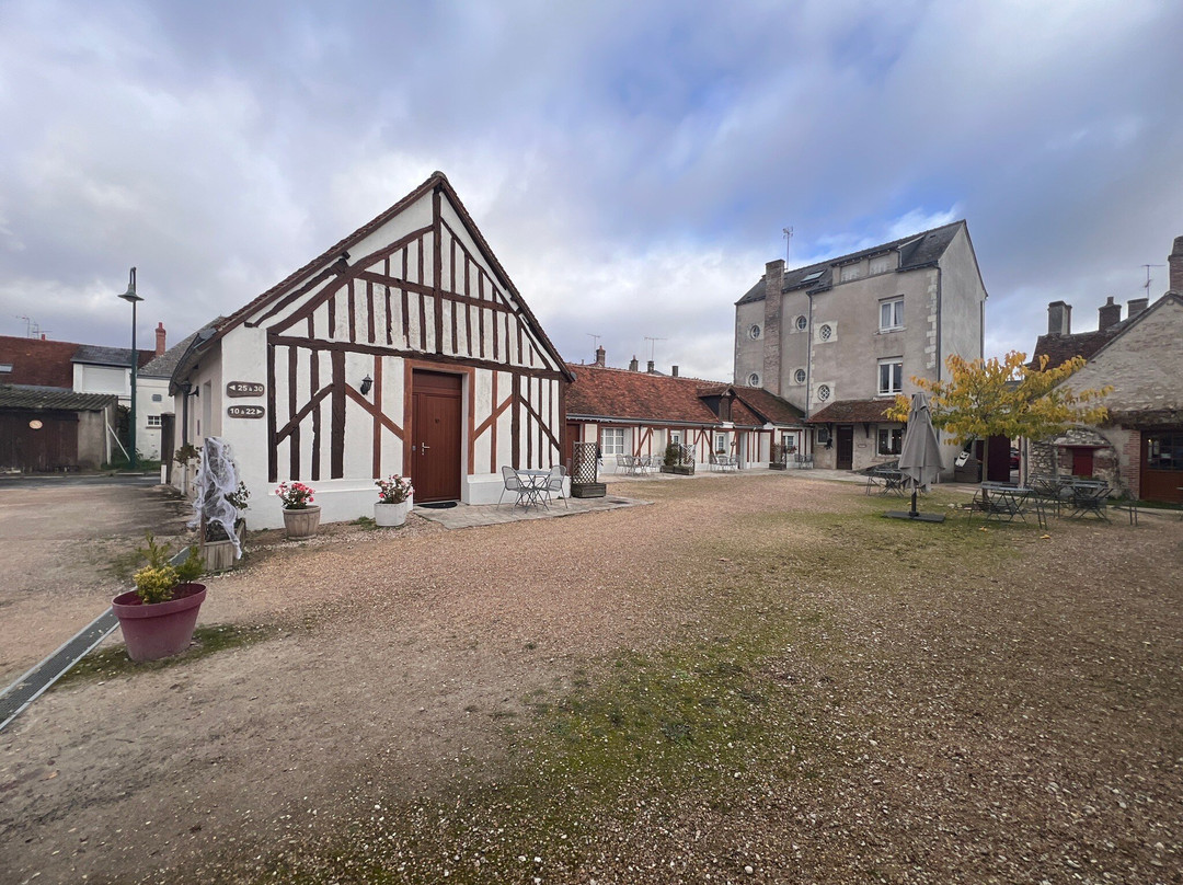 Logis Hôtel du Cygne主图