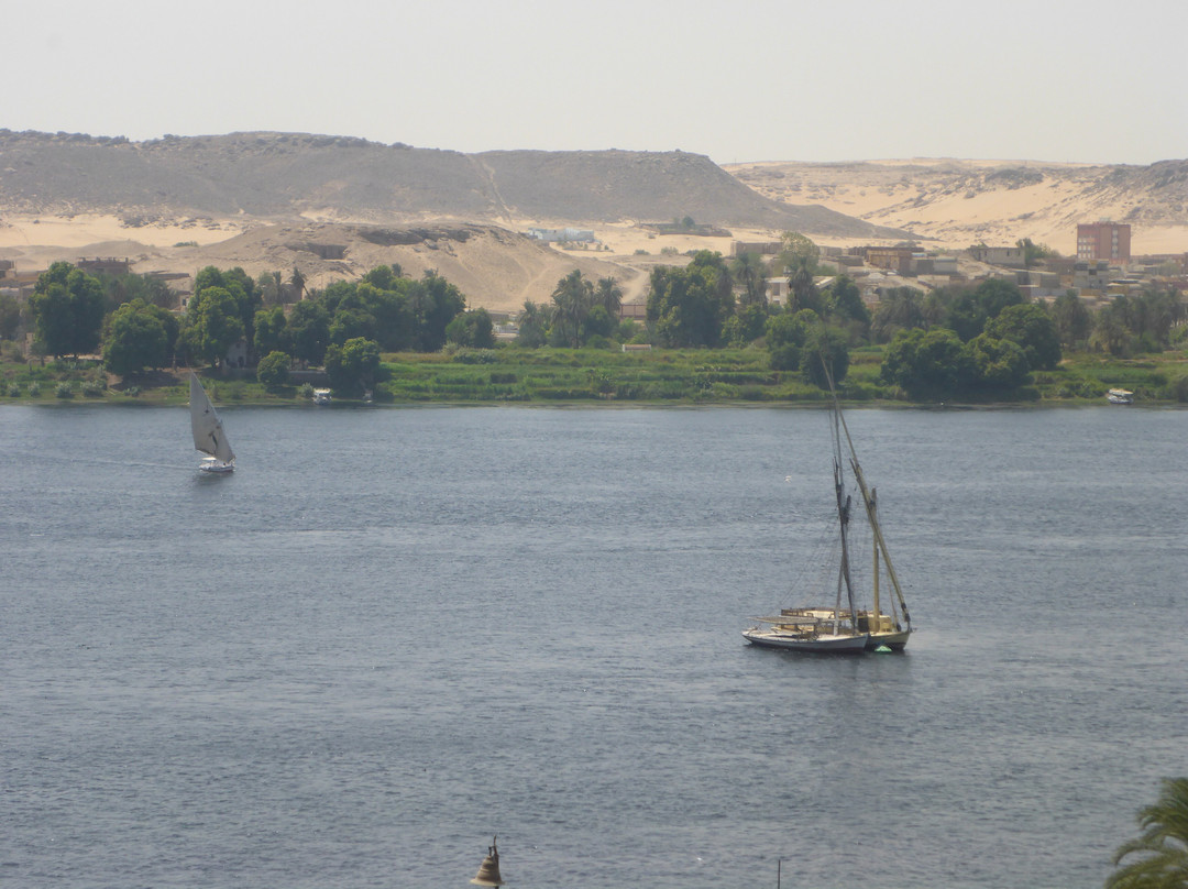 Tolip Aswan Hotel主图