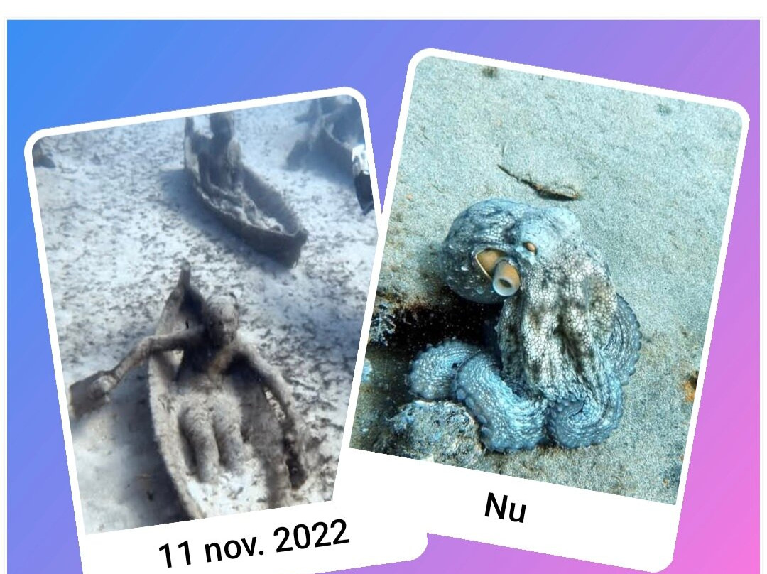Safari Diving Lanzarote-卡门港必去景点