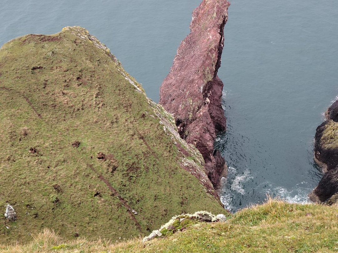St Abbs Head National Nature Reserve-St Abbs必去景点