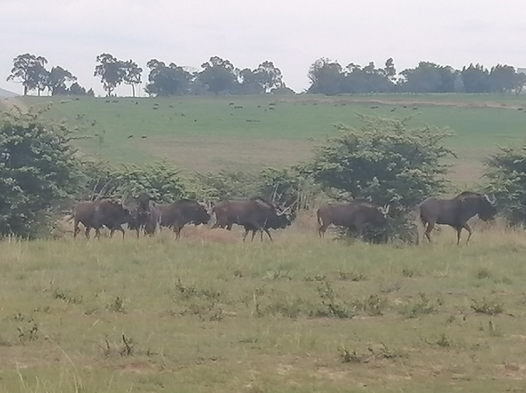 Uithoek-Fouriesburg必去景点