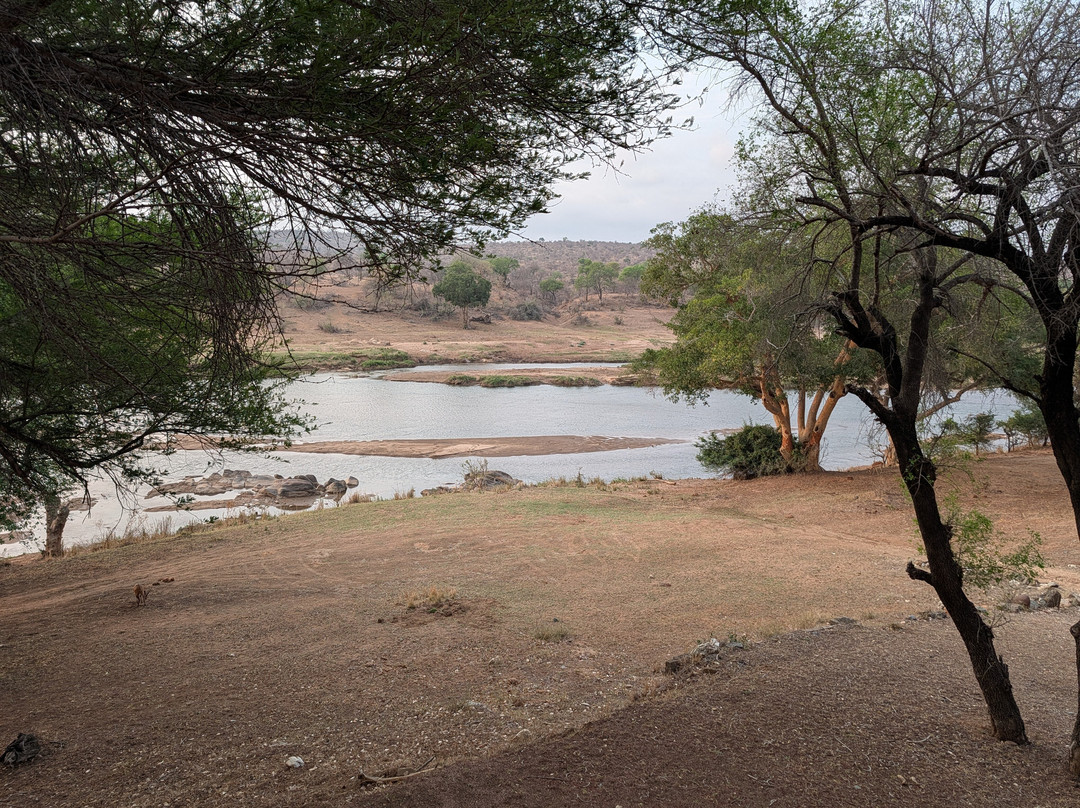 Parsons River Camp