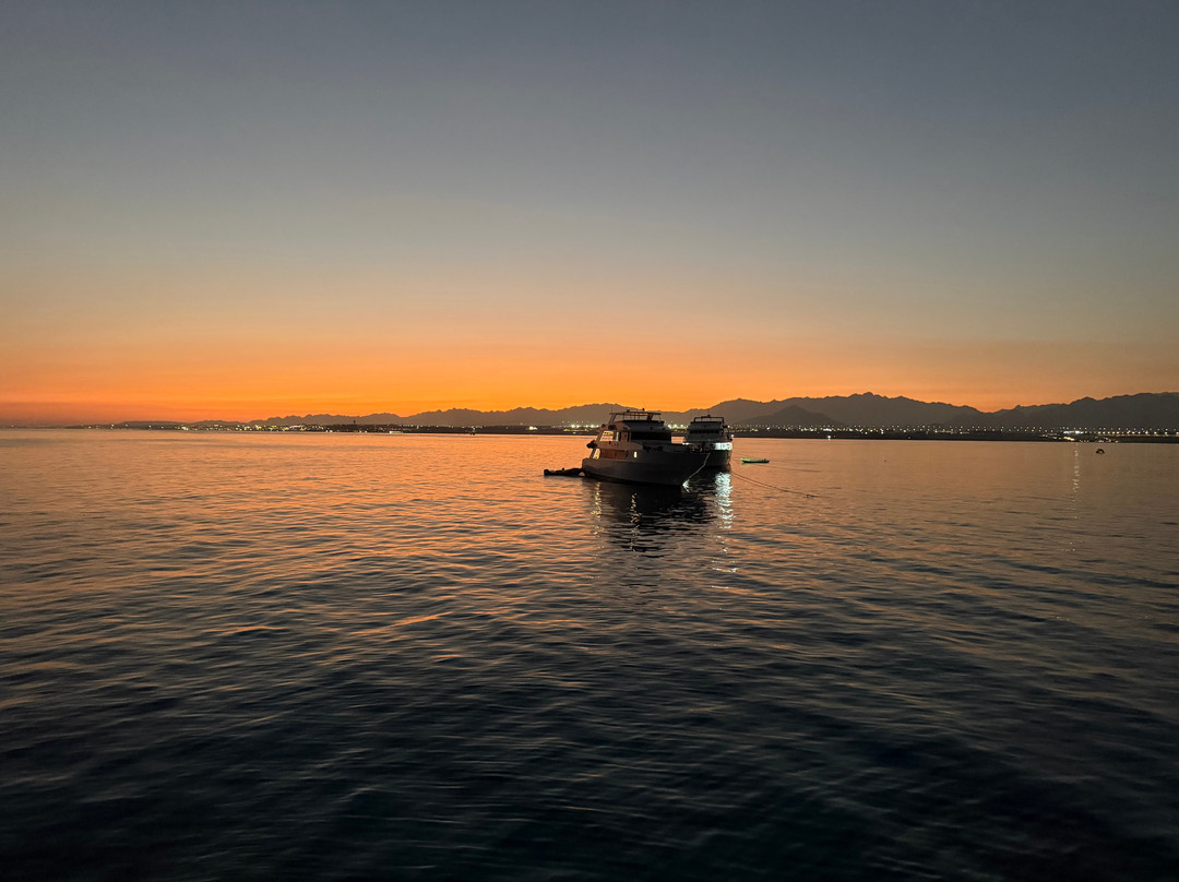 VIP Diving College-沙姆沙伊赫必去景点