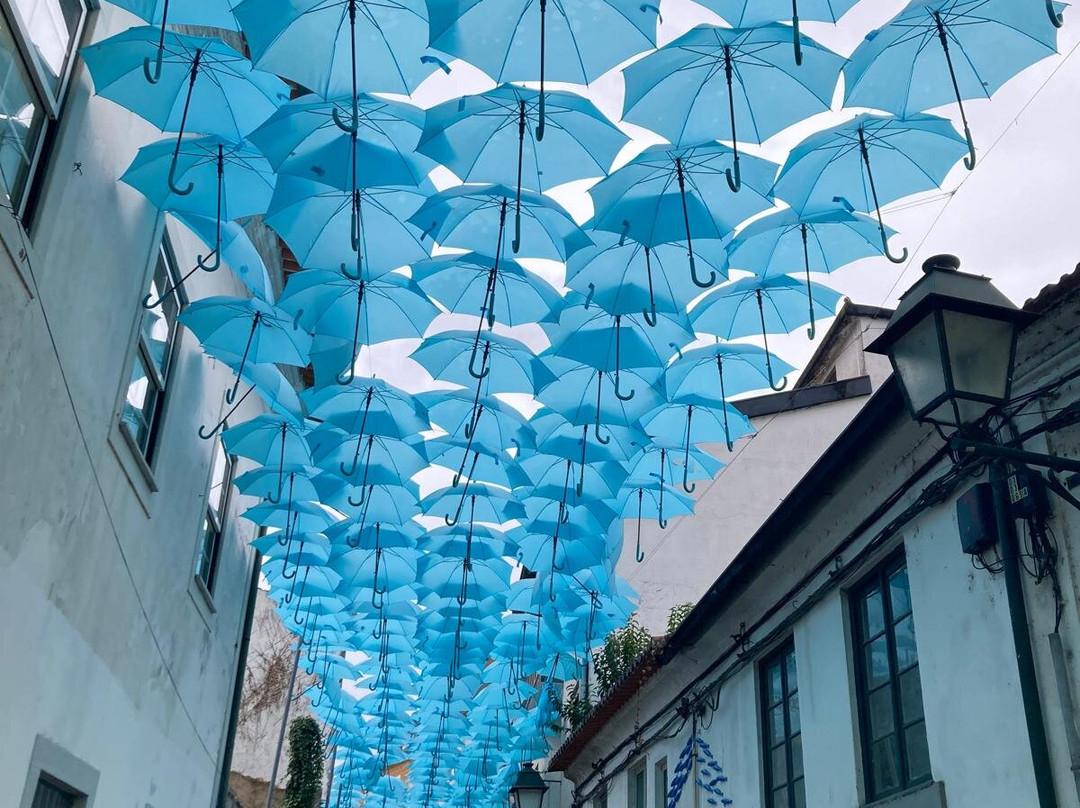 CAA Centro de Artes de Águeda-Agueda必去景点