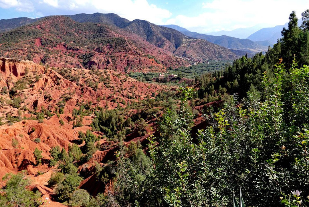 Kasbah Bab Ourika主图