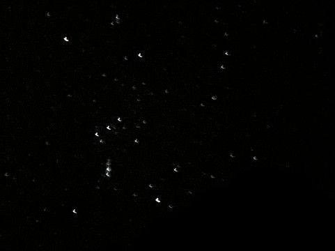 Arizona Raft Adventures-弗拉格斯塔夫必去景点