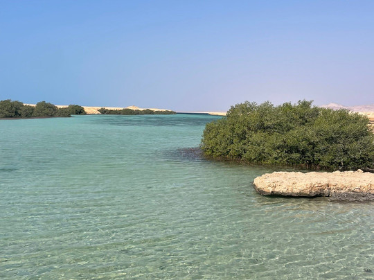 Sheikh Coast Diving Center-沙姆沙伊赫必去景点