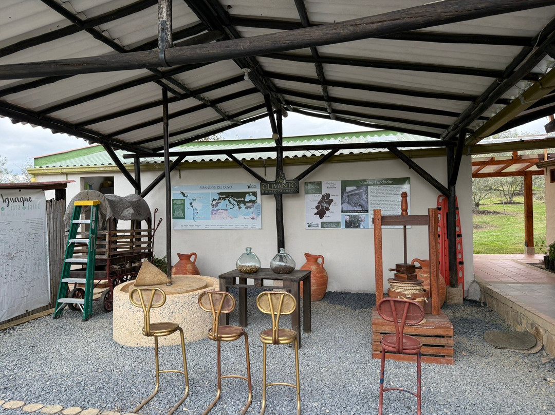 Huerto Olivanto-莱瓦镇必去景点